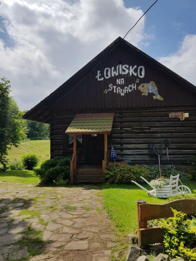 Na Stawach Guest House Stryszow Екстериор снимка