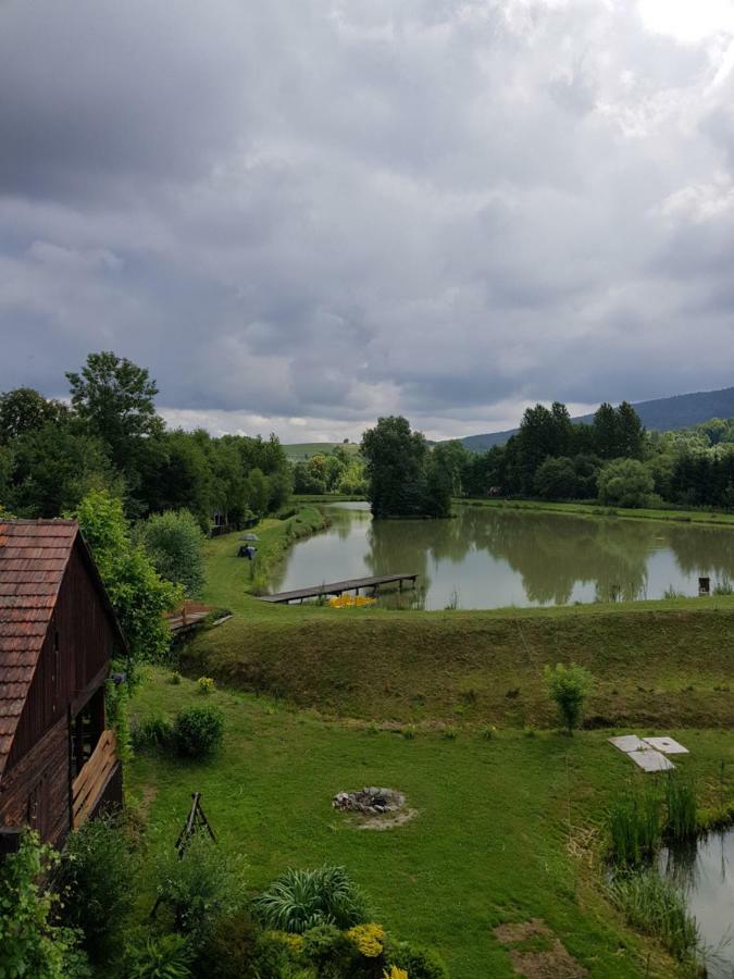 Na Stawach Guest House Stryszow Екстериор снимка